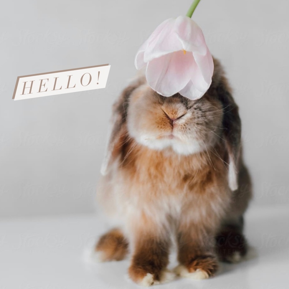 Hi, there!